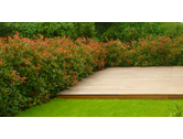 Eigentümer Bilder Hammes & Kramp GmbH Gartengestaltung Konz