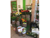 Eigentümer Bilder Blatt & Blüte Blumengeschäft Inh. Carina Wichmann Pluwig