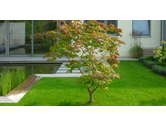 Eigentümer Bilder Hammes & Kramp GmbH Gartengestaltung Konz