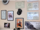 Bildergallerie Hunde Fellness Inh. Guido Klaus Trier
