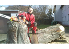 Kundenbild klein 5 Baumann Jürgen Dachrinnenreinigung