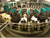 Eigentümer Bilder WEGRA Anlagenbau GmbH Westenfeld Römhild OT Westenfeld