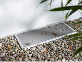 Eigentümer Bilder Grasmück Insektenschutzsysteme GmbH Ronneburg