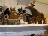 Eigentümer Bilder Puppenstube Friedberg Friedberg