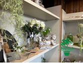 Schaufenster