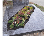 Eigentümer Bilder Blumenhaus Herrmann an der Ehrensäule Hanau
