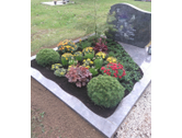 Eigentümer Bilder Blumenhaus Herrmann an der Ehrensäule Hanau