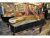 Eigentümer Bilder Piano Palme Musikhaus Friedberg
