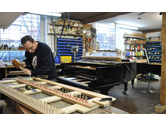 Eigentümer Bilder Piano Palme Musikhaus Friedberg