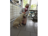Eigentümer Bilder Konschewski Susanne Praktische Tierärztin Butzbach