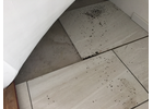 Kundenbild groß 9 Döttling Schädlingsbekämpfung
