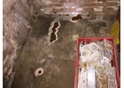 Kundenbild groß 10 Döttling Schädlingsbekämpfung