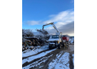 Kundenbild groß 3 Baum Doc GmbH Baumpflege
