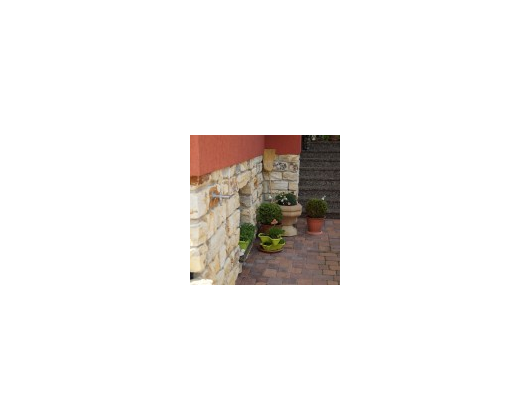 Kundenfoto 3 Steinmetz Rose