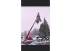 Kundenbild groß 9 Baum Doc GmbH Baumpflege