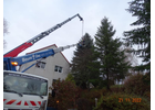 Kundenbild groß 10 Baum Doc GmbH Baumpflege