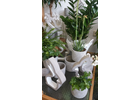 Kundenbild groß 6 Blumen-Eckstein Inh. Andre Eckstein