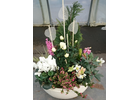 Kundenbild groß 2 Blumen-Eckstein Inh. Andre Eckstein
