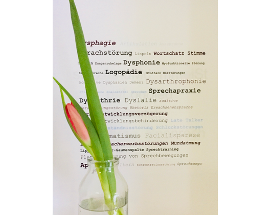Kundenfoto 3 Praxis für Logopädie- und Dysphagietherapie "MundSchatz"