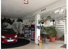 Kundenbild groß 3 Häublein Autohaus