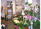 Kundenbild groß 1 Blütensinfonie Blumenladen