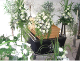 Schaufenster