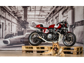 Eigentümer Bilder Motorrad Klein GmbH Dillingen