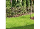 Kundenbild klein 6 Winckler Garten- u. Landschaftsbau