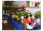 Kundenbild groß 2 Blumen Kalinka