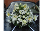 Kundenbild groß 1 Blumen Kalinka