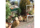 Kundenbild groß 2 Wauter Friseursalon