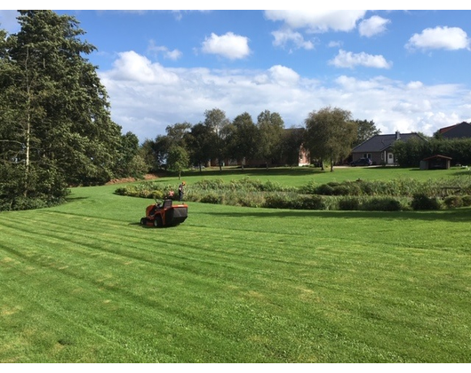 Kundenfoto 5 Wegner Hannes Baum- u. Gartenpflege