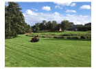 Kundenbild groß 5 Wegner Hannes Baum- u. Gartenpflege