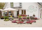 Kundenbild groß 1 Gärtnerei Wegner Friedhofsgärtnerei