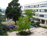 Schaufenster