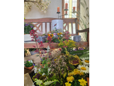 Schaufenster