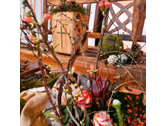 Schaufenster