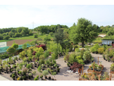 Eigentümer Bilder Gartenfachbetrieb Bräuninger Baumschule Remchingen