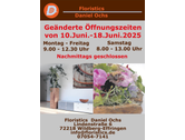 Schaufenster
