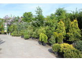 Eigentümer Bilder Gartenfachbetrieb Bräuninger Baumschule Remchingen