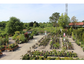 Eigentümer Bilder Gartenfachbetrieb Bräuninger Baumschule Remchingen