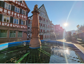 Bildergallerie Stadtverwaltung Calw Calw