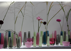 Kundenbild klein 2 Weißhaupt Blumenhaus