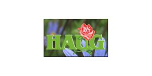 Kundenlogo von Haug Blumenhaus und Gärtnerei Kundenlogo von Haug Blumenhaus und Gärtnerei