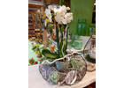 Kundenbild klein 6 Blumenstube Enderle Lothar