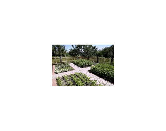 Kundenfoto 8 Form & Pflanze Inh. Sarah Müller-Koch u. Enno Koch Garten und Landschaftsbau Kundenfoto 8 Form & Pflanze Inh. Sarah Müller-Koch u. Enno Koch Garten und Landschaftsbau