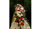 Kundenbild klein 3 Rommel Blumen & Gärtnerei