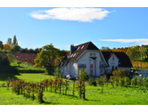 Schaufenster