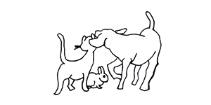 Kundenlogo von Tierarztpraxis Skupin & Lenhard