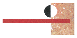 Kundenlogo von Lotz & Kovacs GmbH Gebäudereinigung